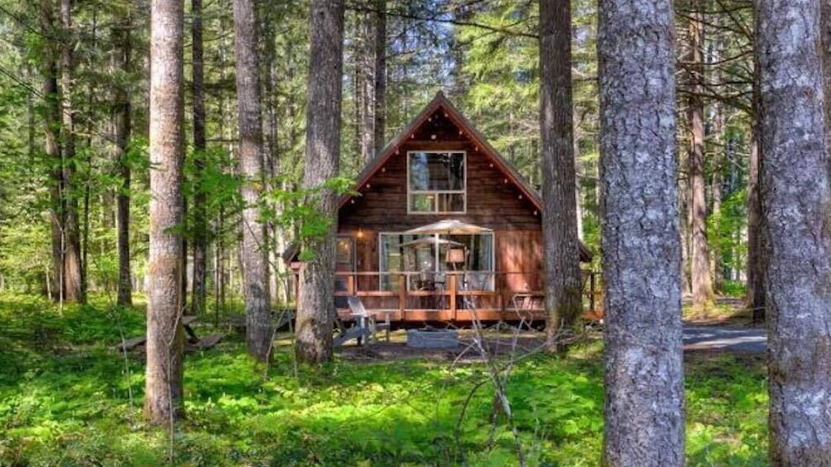 Packwood Cabin | Knotty Cedars Retreat - Wilderness Adventures Await!