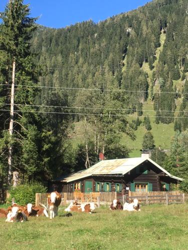 Flachau Ski Chalet | Knusperhauschen Sonnegg