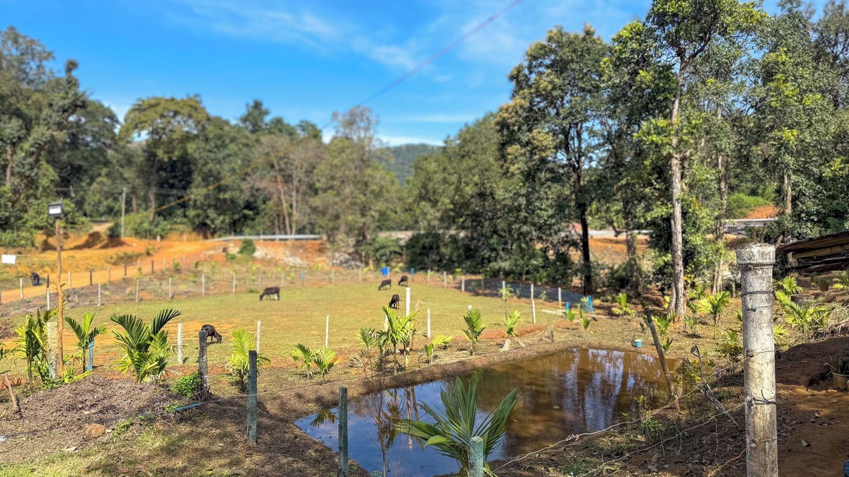 Tumari Bed & Breakfast | Kodachadri Pathalagere Homestay