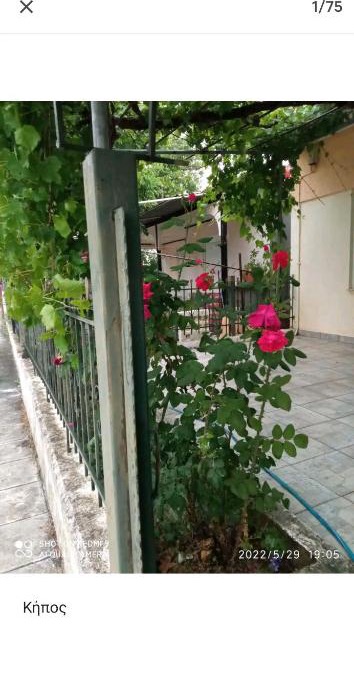 Kilkis Apartment | Kolhida home