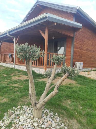 Gazipasa Villa | Koruwoodenhouse Alanya Gazipaşa