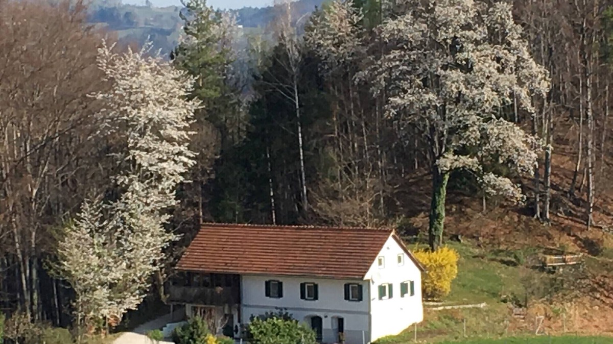 Leutschach Apartment | Kröllwinzerei "Winemaker's Apartment"