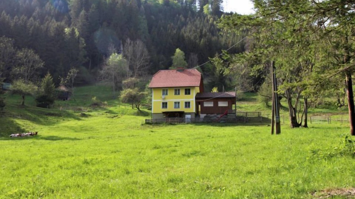 Pernegg an der Mur House | Krechen Alm by Interhome