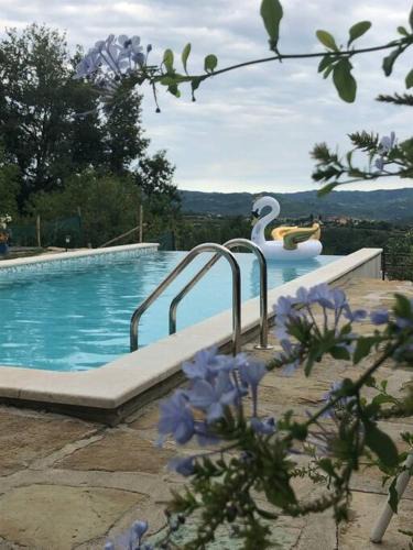 Sovinjska Brda Villa | Kuća Zanetta sa bazenom