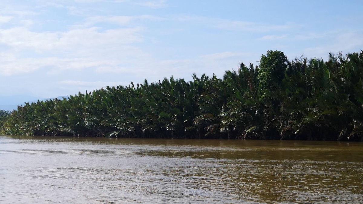 Sipitang House | Kuala Mengalong Cottage