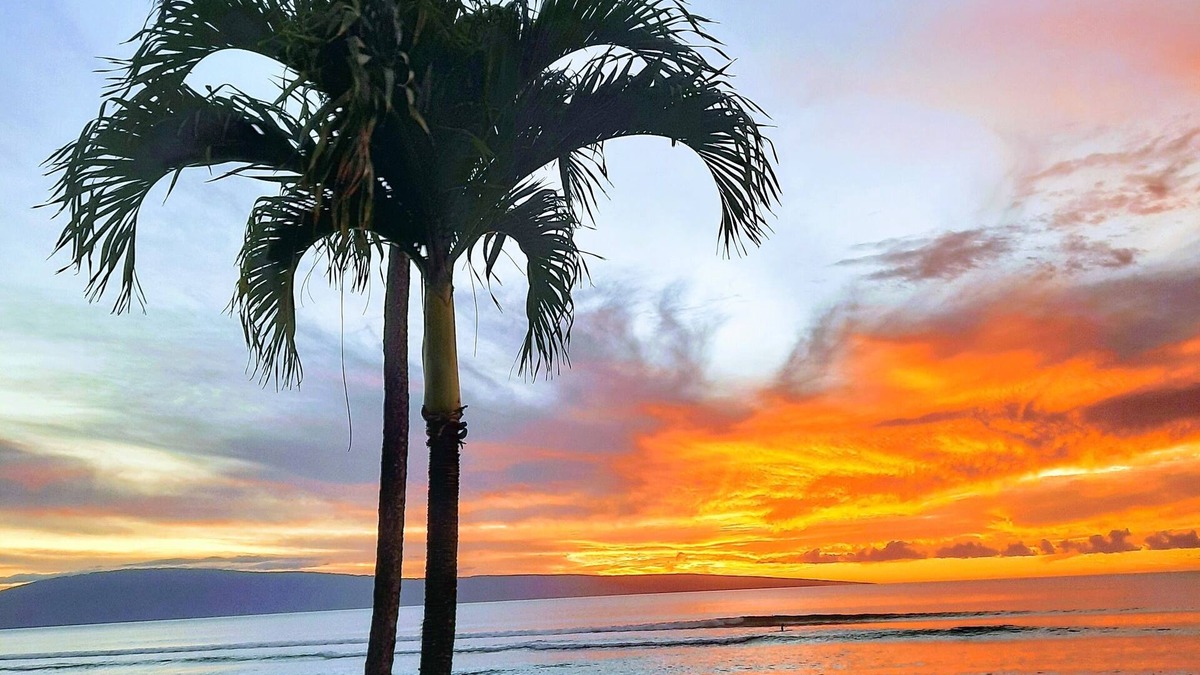 Honokowai Condo | Kuleana 407 Oceanfront Condo - Ground Level - 5 Star Reviews