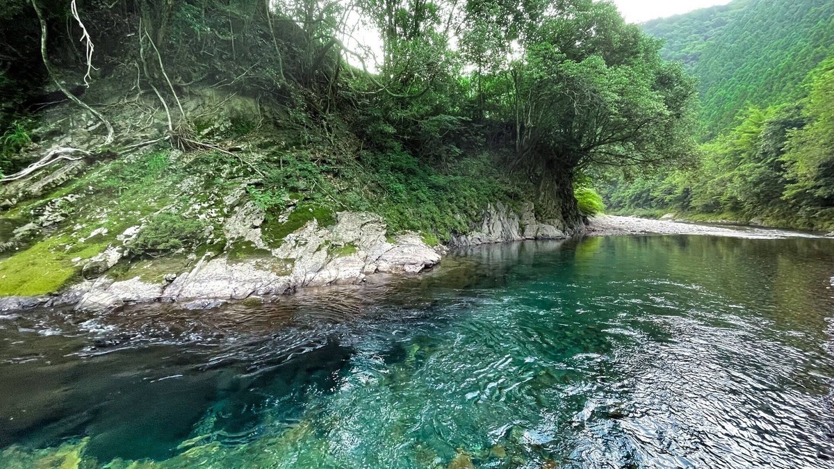 Tanabe House | Kumano Shikitei Old private house rental villa/Tanabe Wakayama