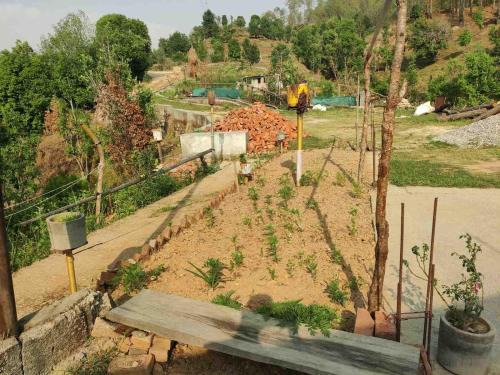 Champawat House | Kurma cottage