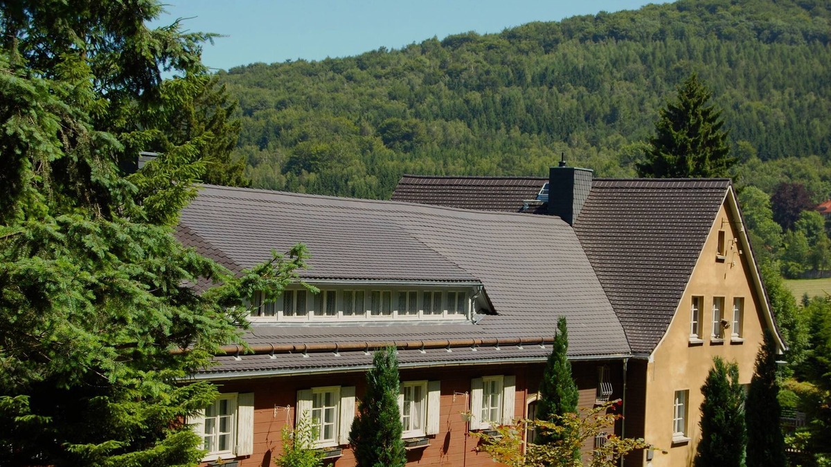 Jonsdorf Apartment | Kurort Jonsdorf - modern apartment by the forest