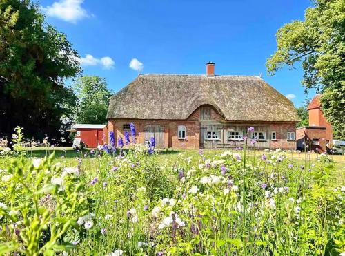 Bad Kleinen Apartment | Kutscherremise Gut Niendorf - ABC592 - nur Feriengäste!