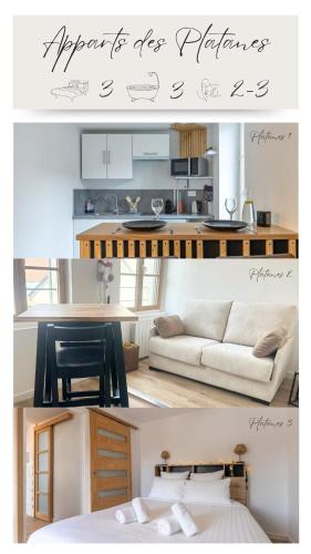 Romorantin-Lanthenay Apartment | L'Appart des Platanes