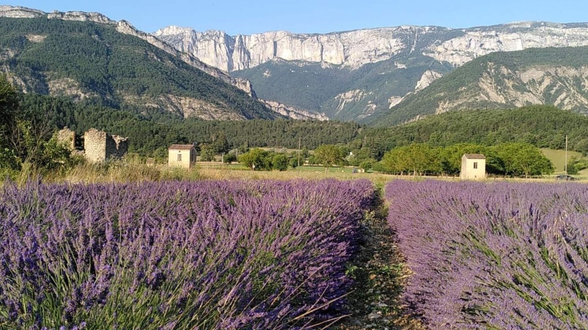 Die Other | L'Eco-logis du Clos des Tilleuls