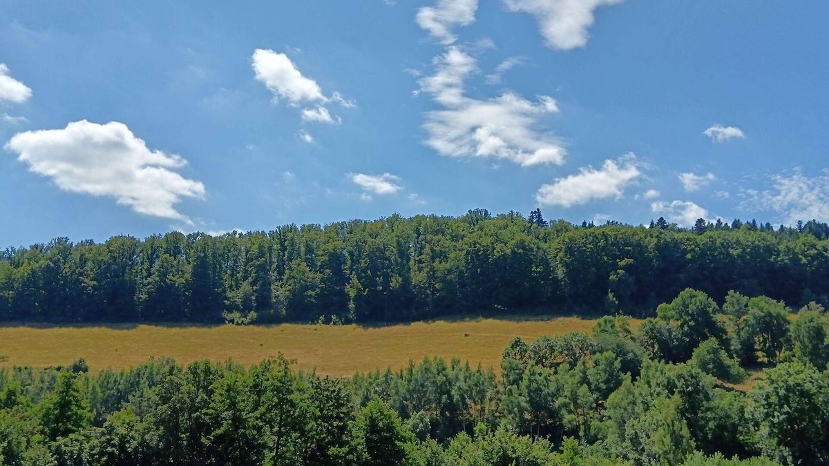 Saint-Philippe Apartment | "L'Emeraude", 4 rooms, in the lush greenery of the Vosges mountains
