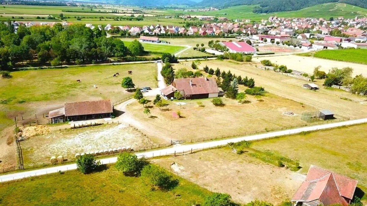 Dambach-la-Ville House | L'Etoile du Vignoble - At the heart of an Alsatian ranch on the Route des Vins!