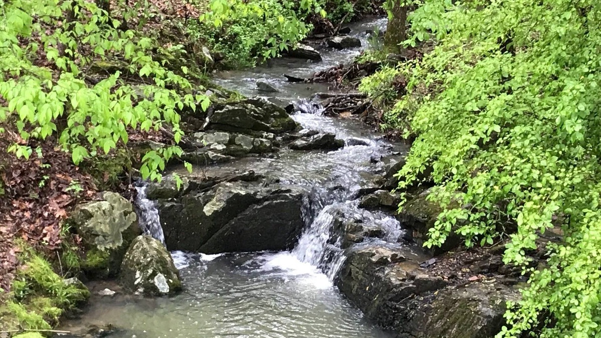 Jones Mills House | L@K Resort Living on 2 Wooded Acres. Amazing! Outdoor Fun! Hot Springs