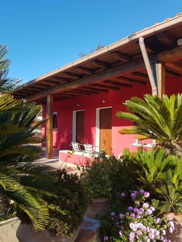 Ardea House | L'oasi di Ambra