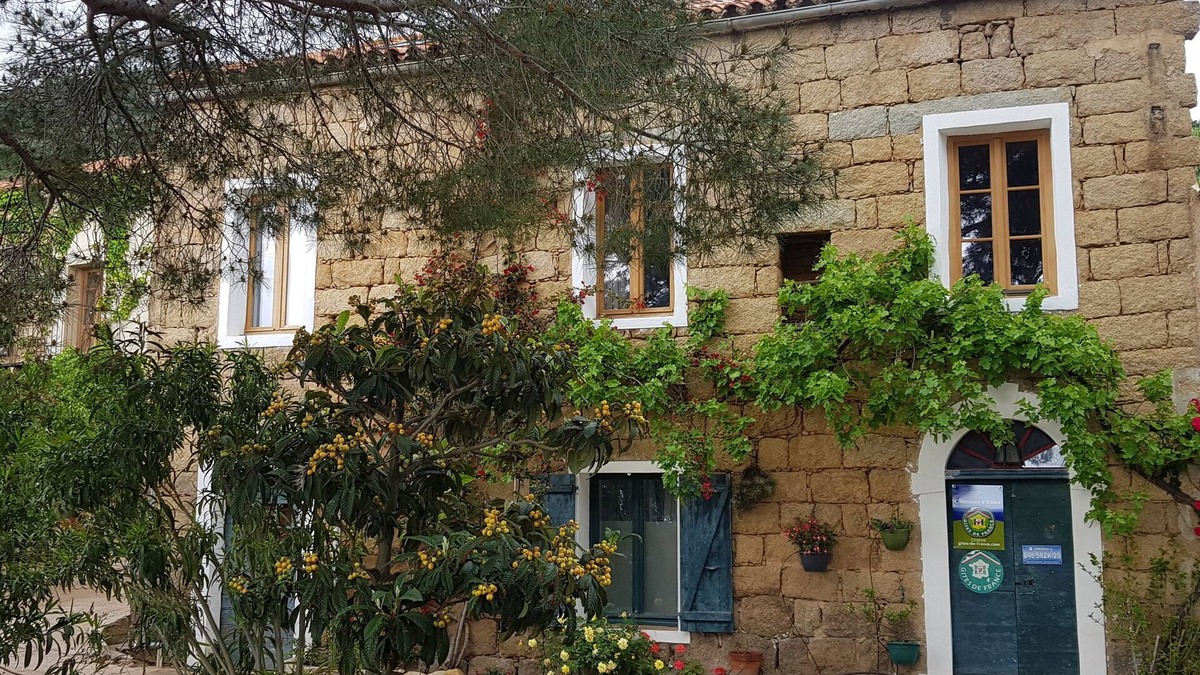 Figari Bed & Breakfast | L'Orca Di San Gavinu