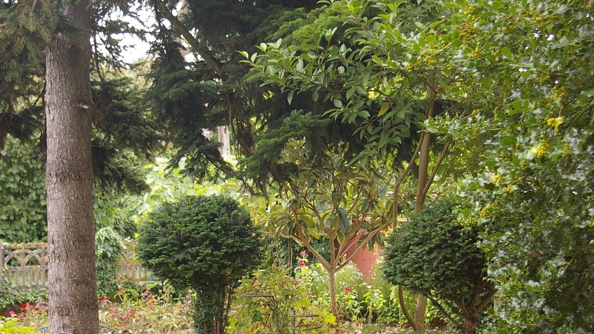 Valence Bed & Breakfast | L'Oustalet D'Anicette
