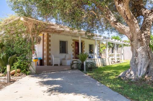 San Lorenzo Villa | L'ulivo San Lorenzo