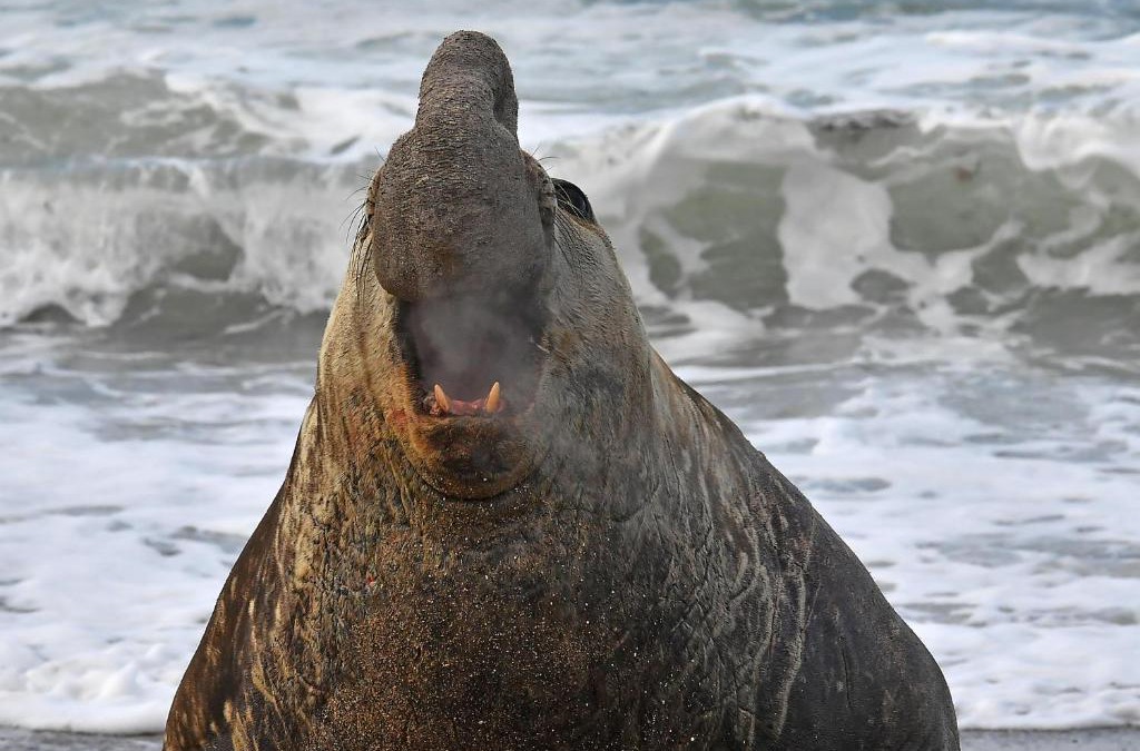 Dos Pozos House | La Antonieta Estancia de Mar