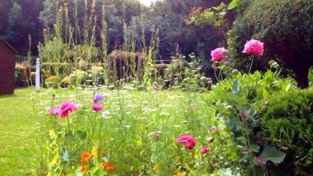 Chichester Bed & Breakfast | LA B and B Guest Accommodation