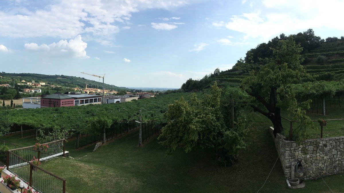 Valgatara Bed & Breakfast | La Bella Vigna
