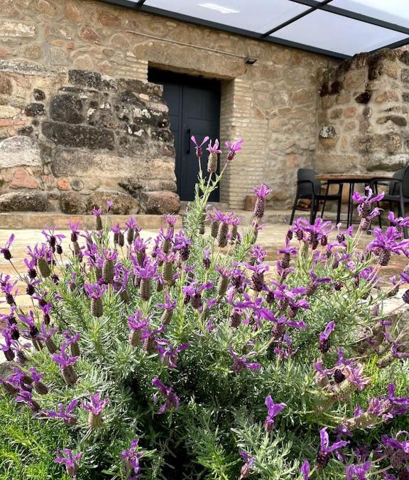 Andujar Apartment | La Bodega
