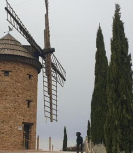 Ocon Villa | La botica de pipaona