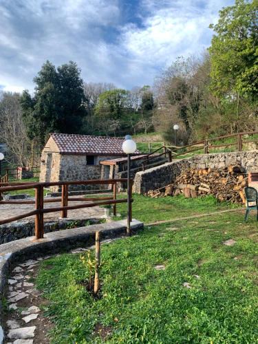Mattinata House | La casa nel bosco