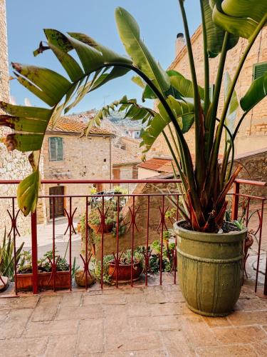 Suvereto House | La Casa nel Castello e la Terrazza sul Borgo
