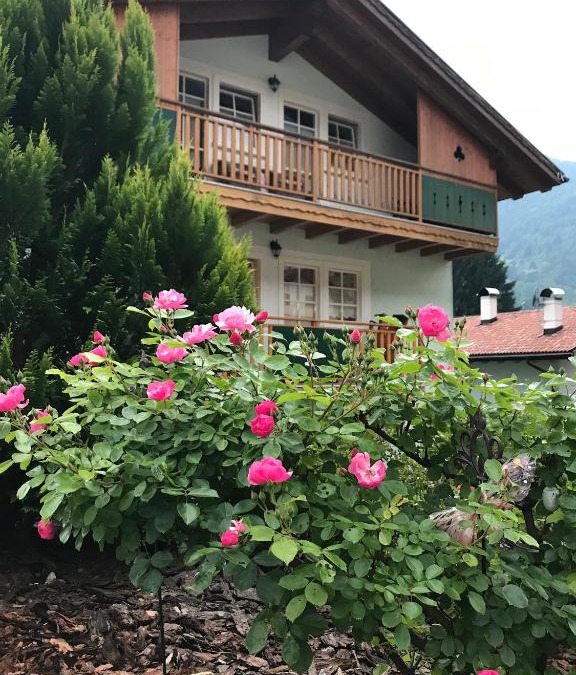 Prade Apartment | La Casa Verde