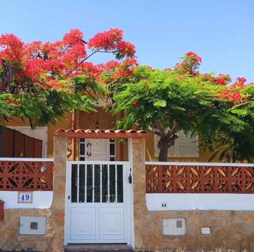Antigua House | La CASITA DE CARMENZA