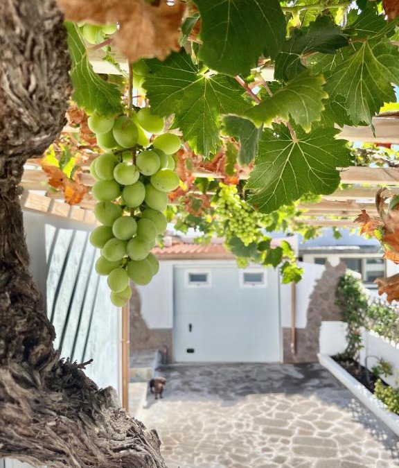 Tamaduste House | La Casita de la Parra, El Hierro