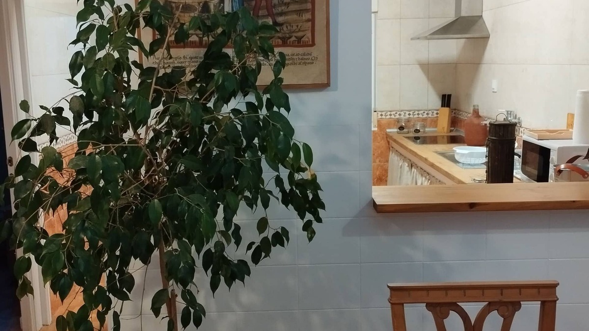 Socuellamos House | LA Casita DEL Vino