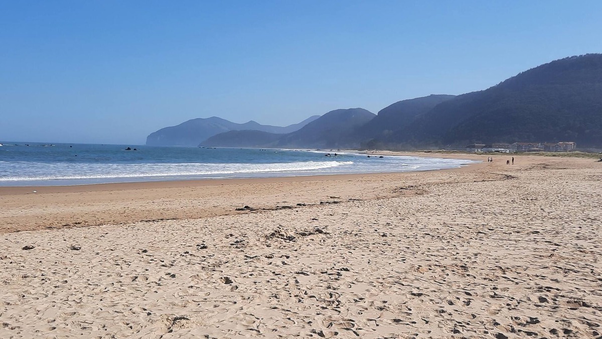 Noja House | La Casona