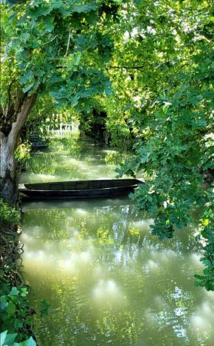 Sansais Apartment | La chaume du marais poitevin avec barque green venice with boat