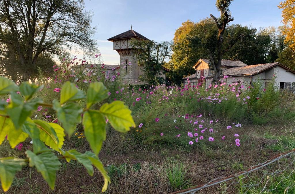 Marmande House | La Dépendance de Bazin