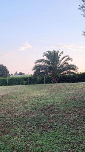 Pomezia Bed & Breakfast | la finestra sul cortile 2