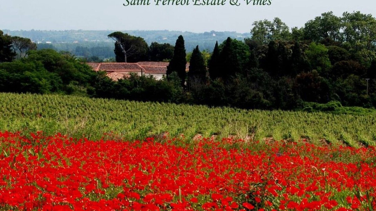 Nizas Villa | La Forge, 2 bedroom charming vineyard villa at Domaine Saint Ferreol