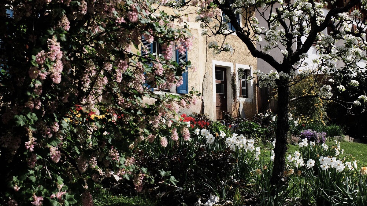 Aime House | La Foyère