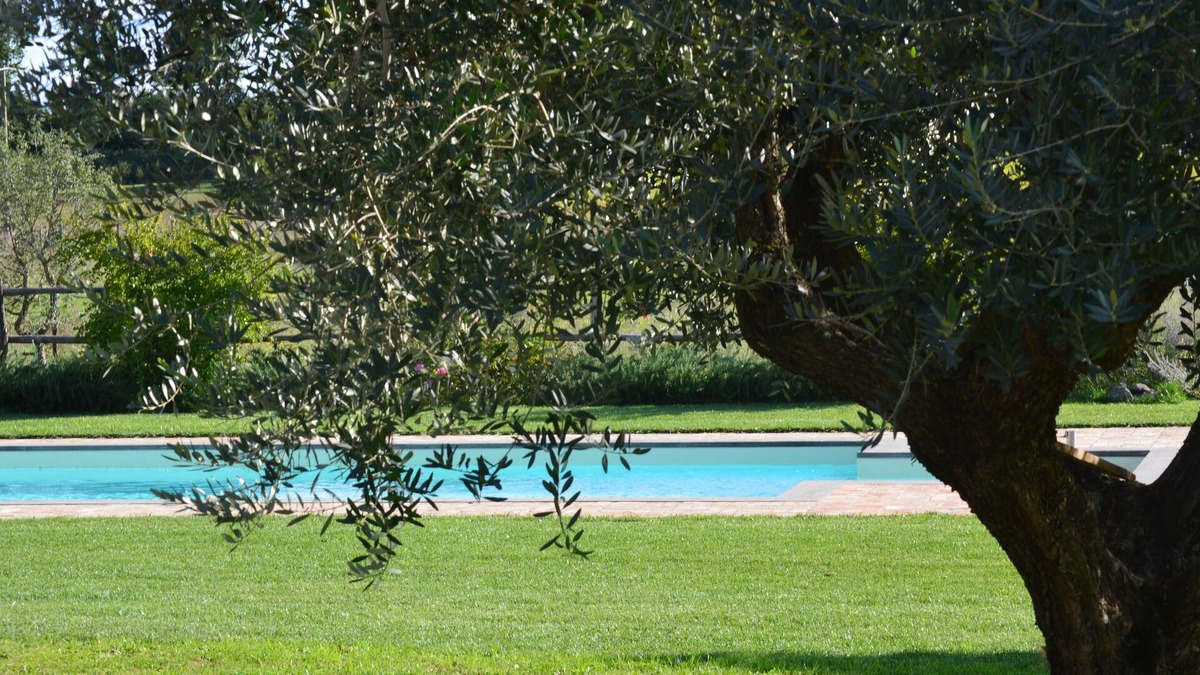 Nepi Other | LA GHIGA Farmhouse, soratte cottage in a green area with a shared pool