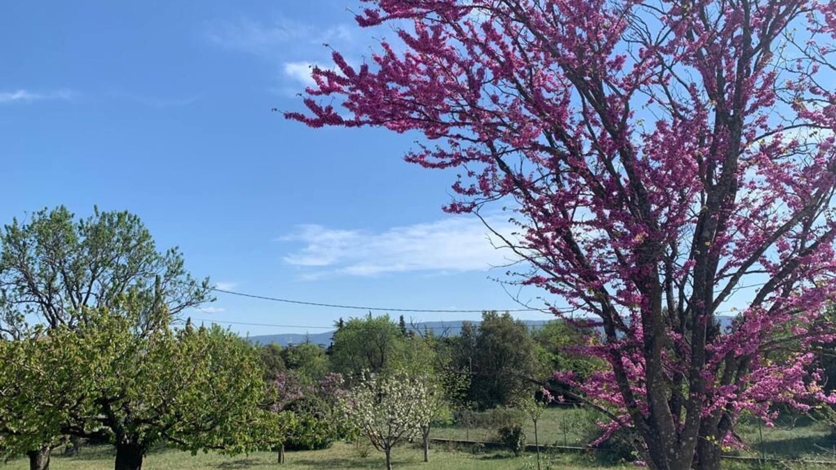 Cabrieres-d'Avignon House | La Lavande - Maison de Vacances en Provence Avec Piscine Privée et Jardin Arboré