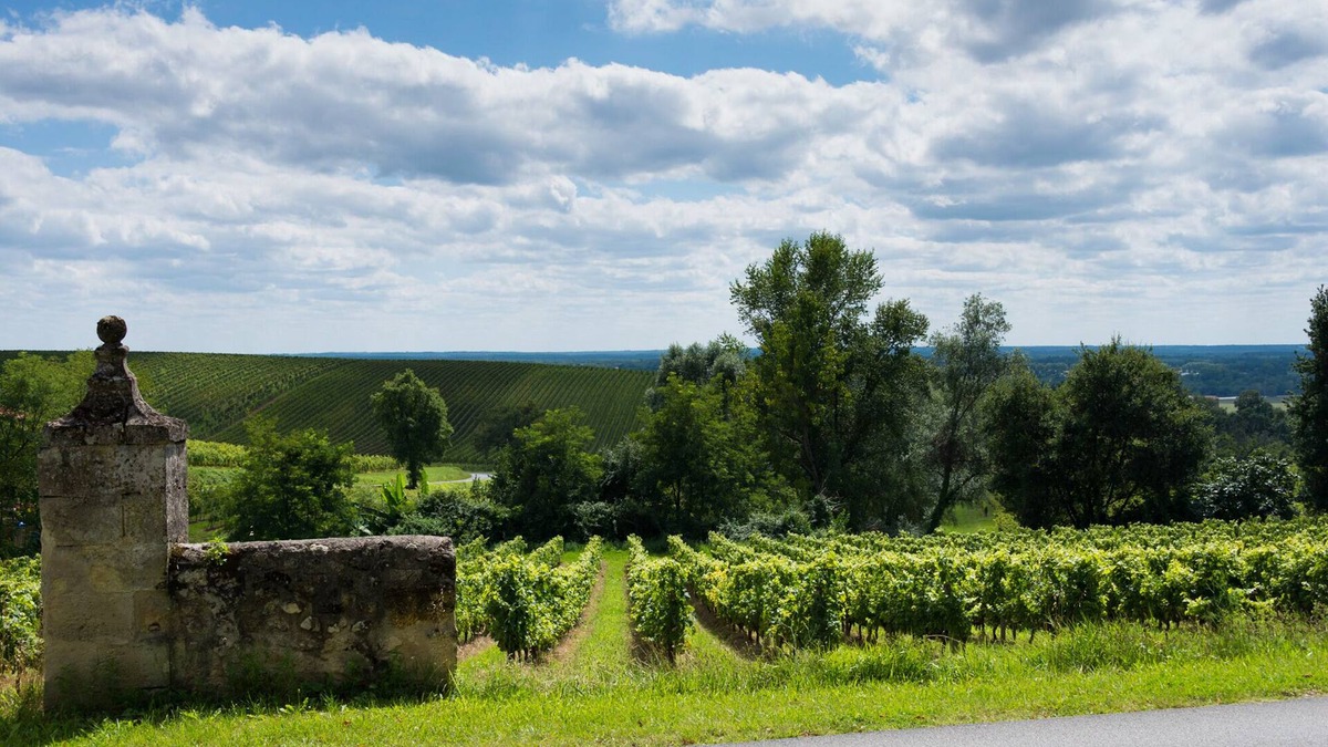 Langoiran House | La Ligassonne, Grande Maison, Calme, 25 km from Bordeaux
