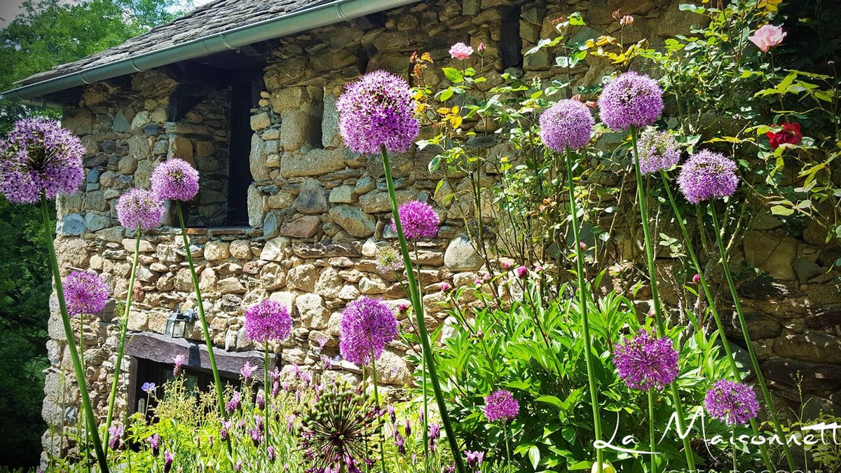 Entraygues-sur-Truyere Cottage | La Maisonnette: Charming cottages in Aveyron, in the heart of the Lot valley.
