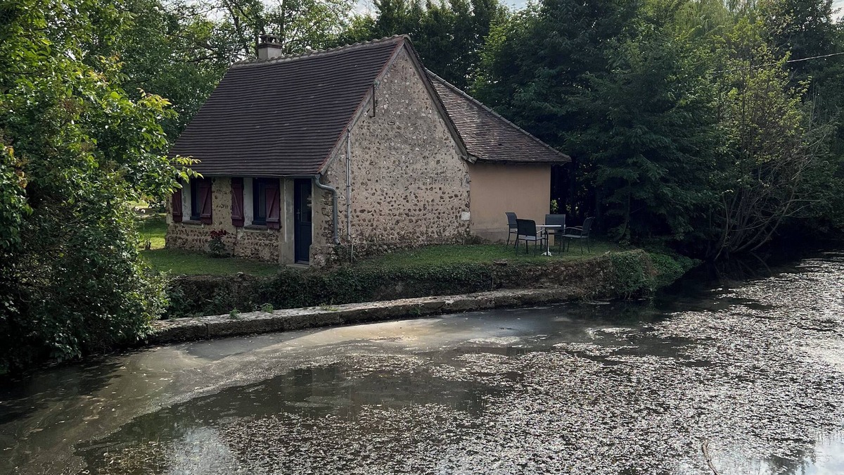 Saint-Georges-sur-Eure House | La Maison du Moulin