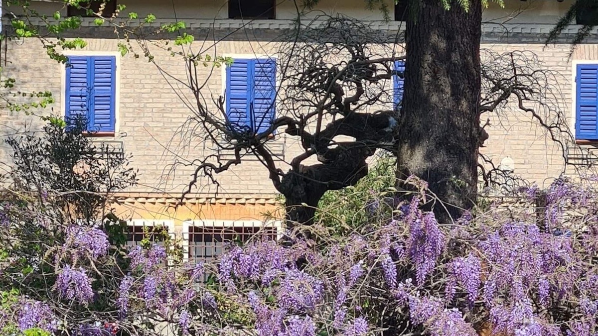 Albinea Apartment | La Maison Deux, an old farmhouse from the late 18th century, with Provençal features.