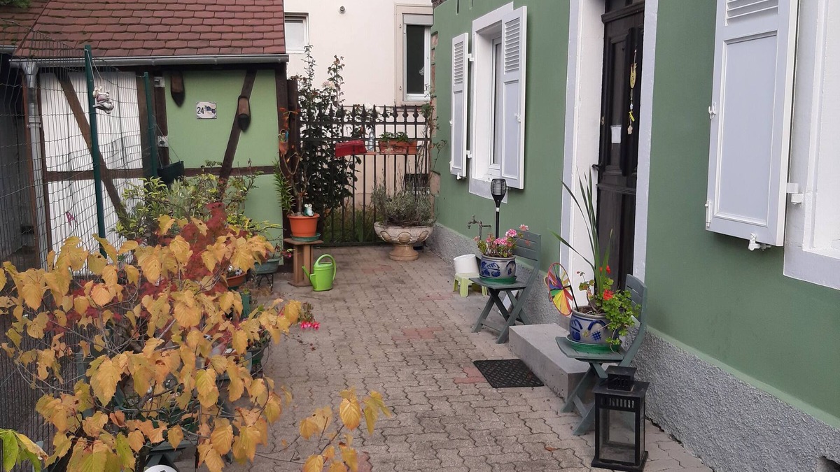 Cronenbourg Est Apartment | La maison verte, a charming and modern two-room apartment