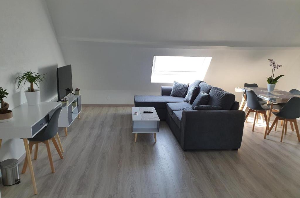 Saint-Jean-de-Losne Apartment | La Marina