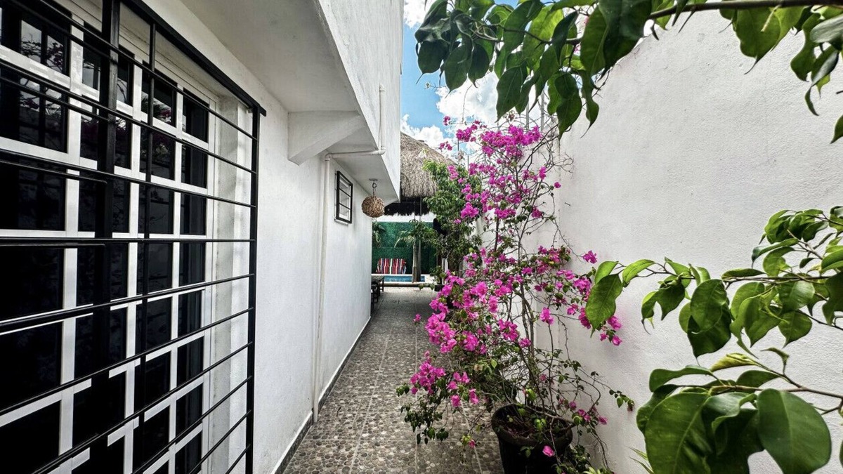 Colonia Adolfo Lopez Mateos Villa | La Perle Noire | MR - Terrace and Pool