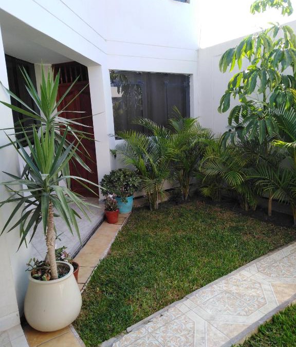 Pisco House | La Posada Dmary